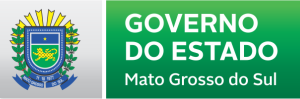 Governo do Estado